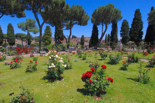 Городской сад роз в Риме Городской сад роз в Риме